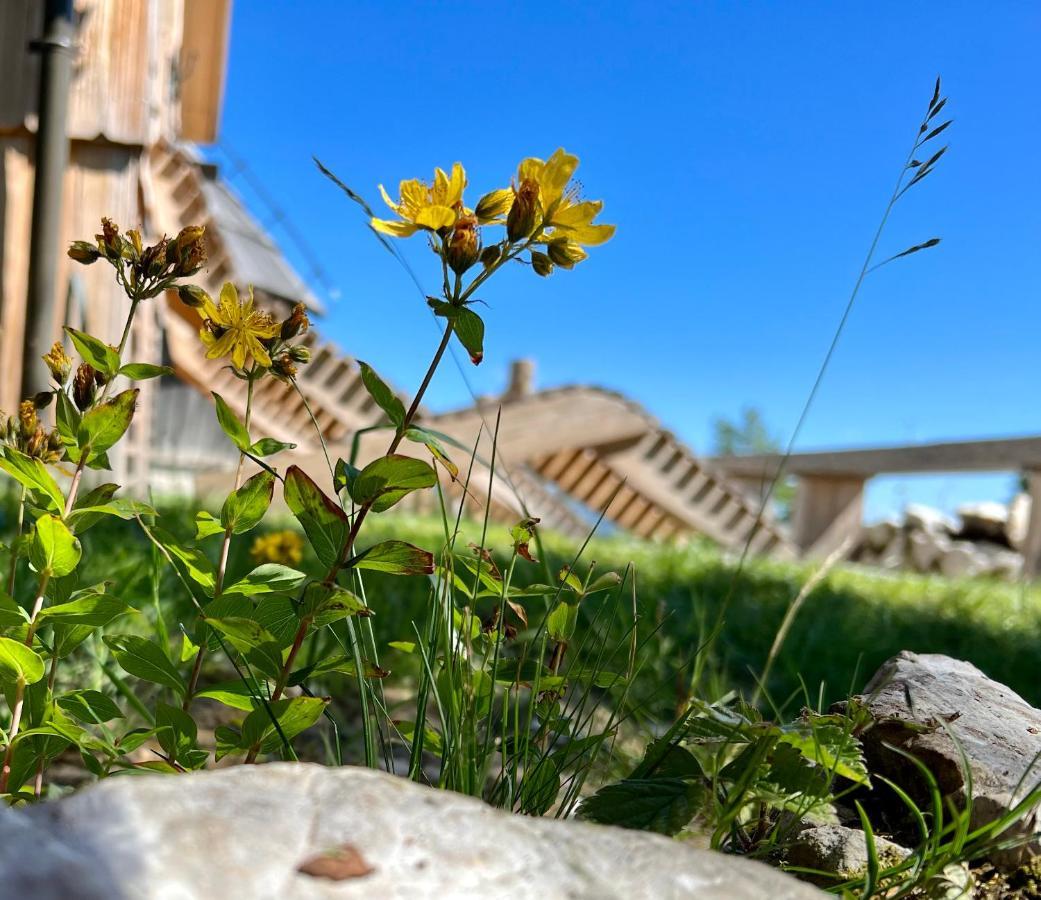 Chalet Velika Planina - I Feel Alps Stahovica Exterior photo