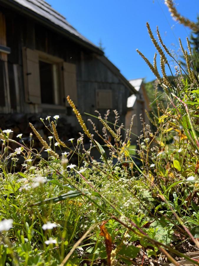 Chalet Velika Planina - I Feel Alps Stahovica Exterior photo